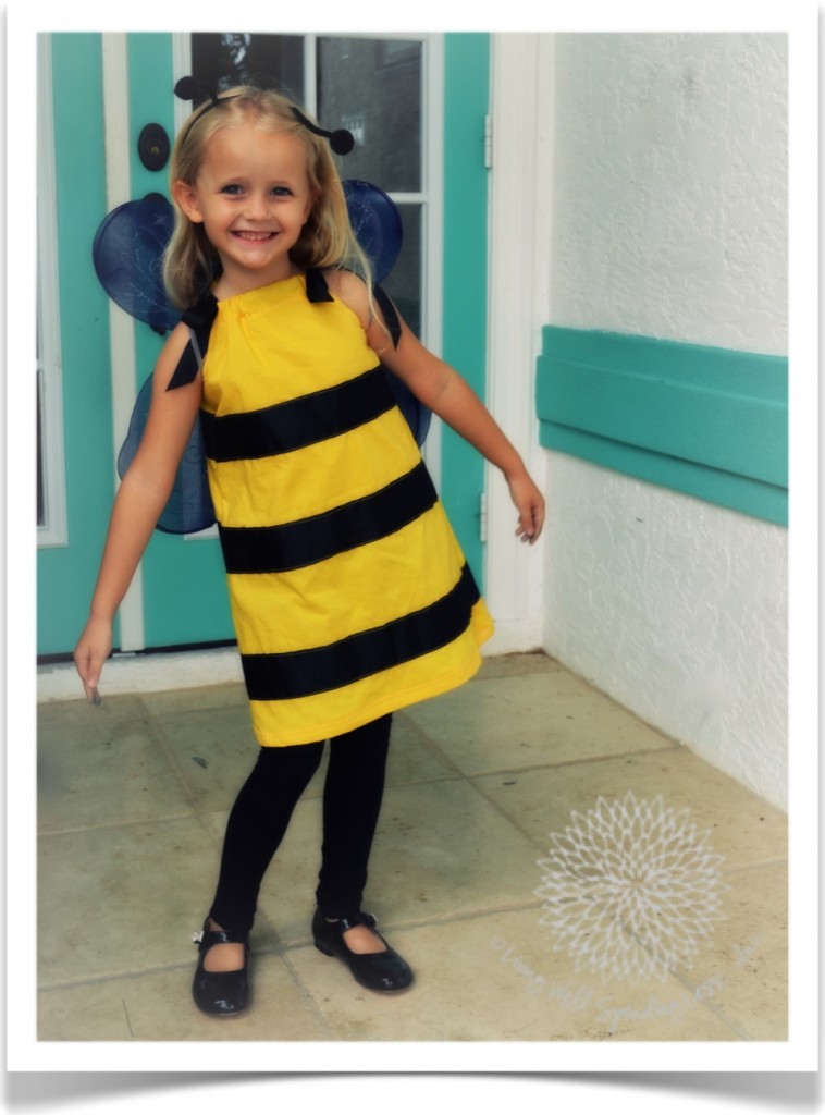 Homemade bee costume