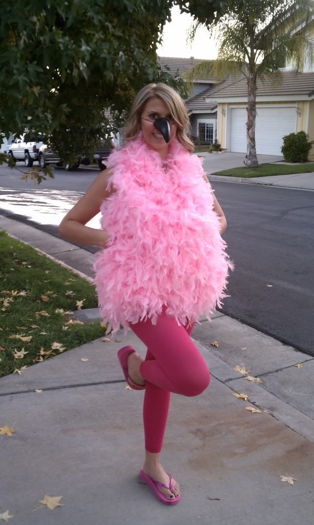 DIY flamingo costume