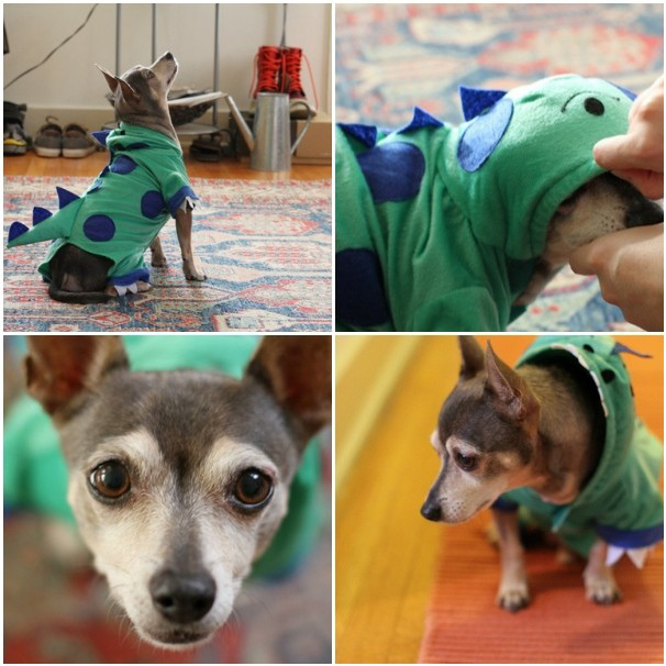 DIY dog dinosaur costume