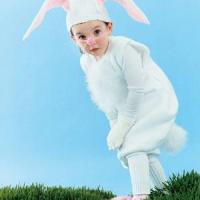 bunny rabbit costume