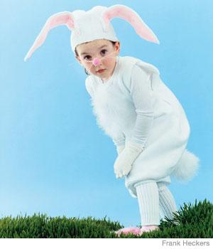 bunny rabbit costume