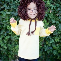 Lion Costume